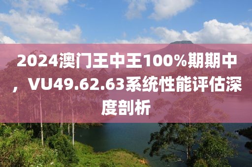 2024澳门王中王100%期期中，VU49.62.63系统性能评估深度剖析