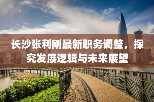 长沙张利刚最新职务调整，探究发展逻辑与未来展望