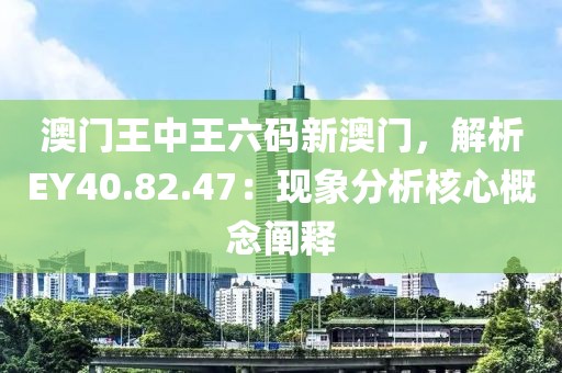 澳门王中王六码新澳门，解析EY40.82.47：现象分析核心概念阐释