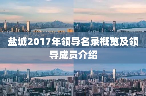 盐城2017年领导名录概览及领导成员介绍