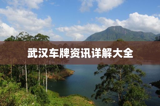 武汉车牌资讯详解大全