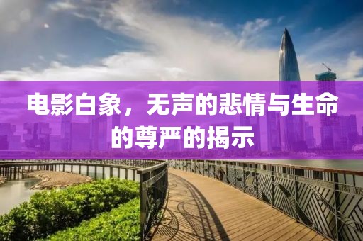 电影白象，无声的悲情与生命的尊严的揭示