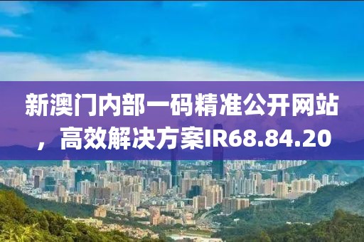 新澳门内部一码精准公开网站，高效解决方案IR68.84.20