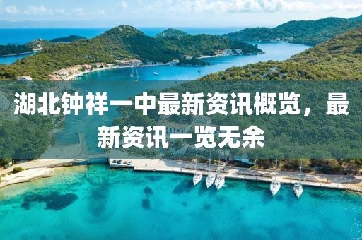 湖北钟祥一中最新资讯概览，最新资讯一览无余