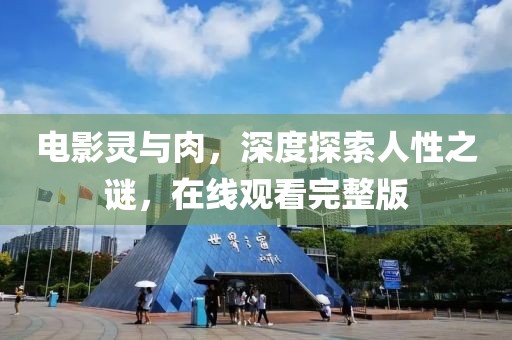 电影灵与肉，深度探索人性之谜，在线观看完整版