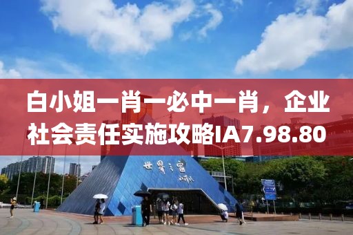 白小姐一肖一必中一肖，企业社会责任实施攻略IA7.98.80