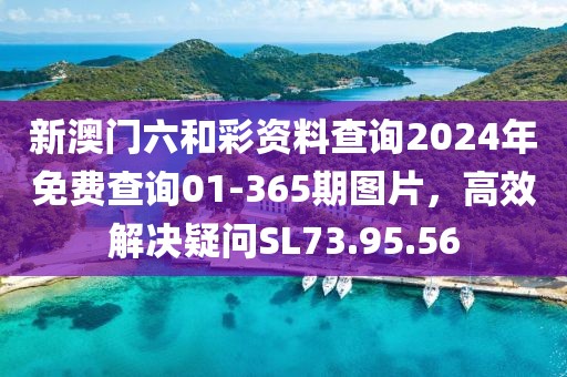 新澳门六和彩资料查询2024年免费查询01-365期图片，高效解决疑问SL73.95.56