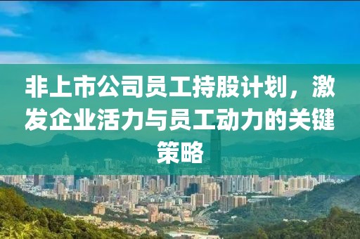 非上市公司员工持股计划，激发企业活力与员工动力的关键策略