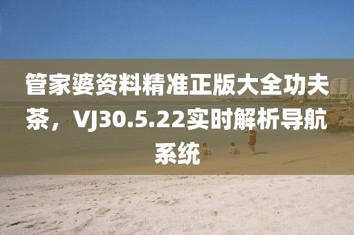 管家婆资料精准正版大全功夫茶，VJ30.5.22实时解析导航系统