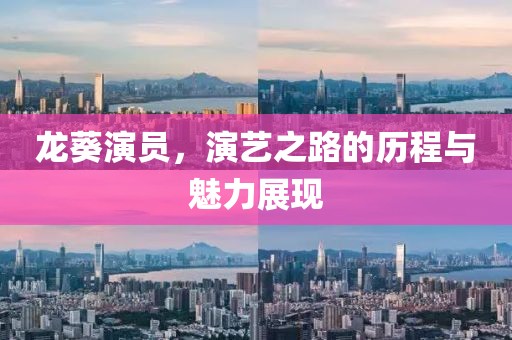 龙葵演员，演艺之路的历程与魅力展现
