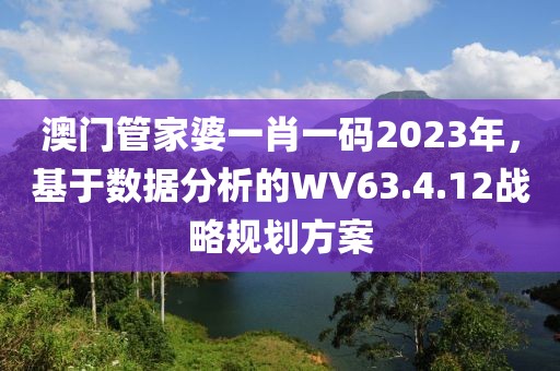 澳门管家婆一肖一码2023年，基于数据分析的WV63.4.12战略规划方案