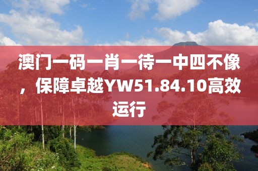 澳门一码一肖一待一中四不像，保障卓越YW51.84.10高效运行