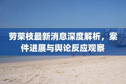 劳荣枝最新消息深度解析，案件进展与舆论反应观察