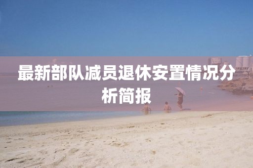 最新部队减员退休安置情况分析简报
