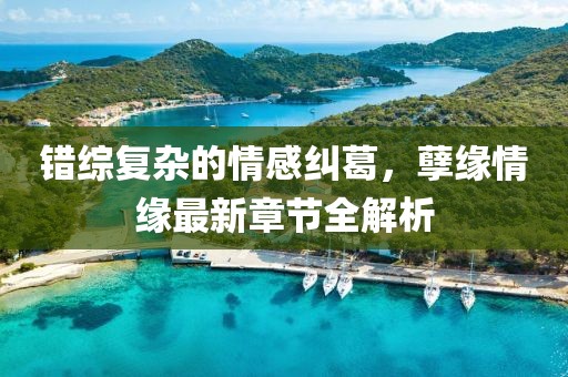 错综复杂的情感纠葛，孽缘情缘最新章节全解析