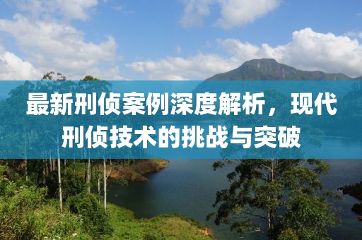 最新刑侦案例深度解析，现代刑侦技术的挑战与突破