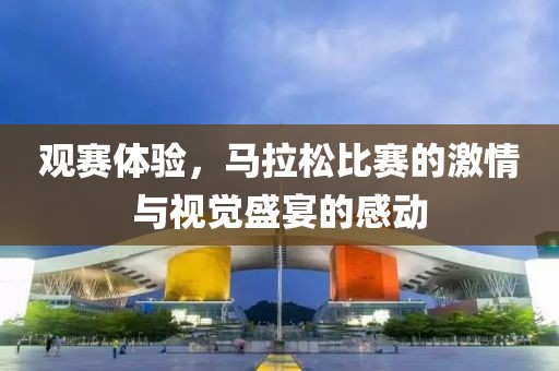观赛体验，马拉松比赛的激情与视觉盛宴的感动