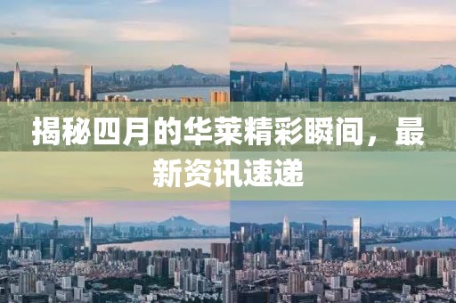 揭秘四月的华莱精彩瞬间，最新资讯速递