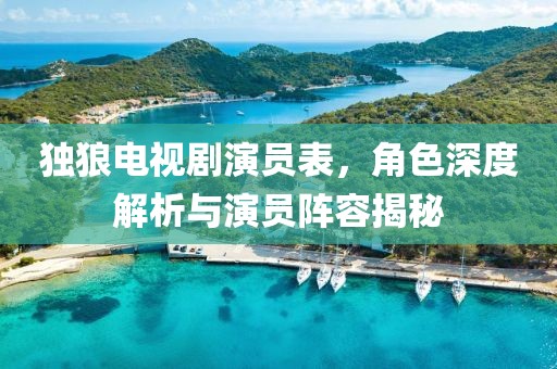 独狼电视剧演员表，角色深度解析与演员阵容揭秘