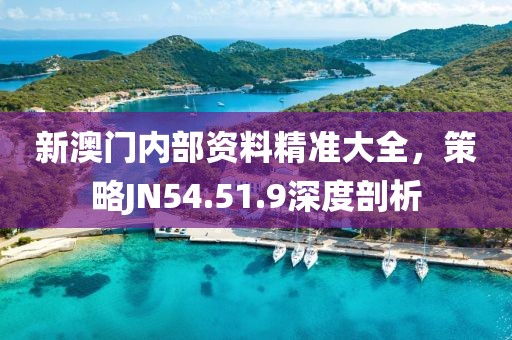 新澳门内部资料精准大全，策略JN54.51.9深度剖析