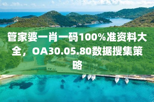 管家婆一肖一码100%准资料大全，OA30.05.80数据搜集策略