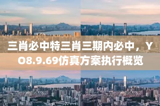 三肖必中特三肖三期内必中，YO8.9.69仿真方案执行概览