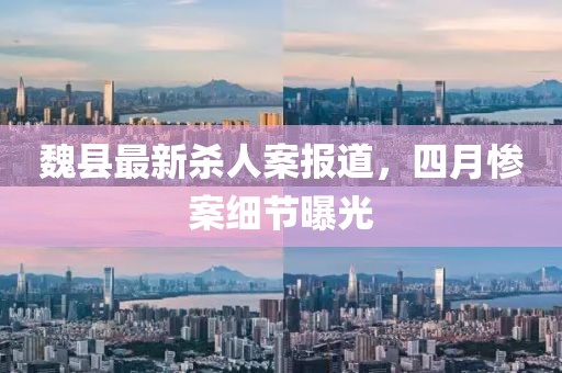 花开无言 第15页