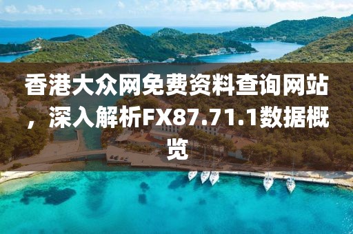 香港大众网免费资料查询网站，深入解析FX87.71.1数据概览