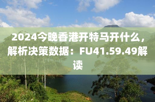 2024今晚香港开特马开什么，解析决策数据：FU41.59.49解读