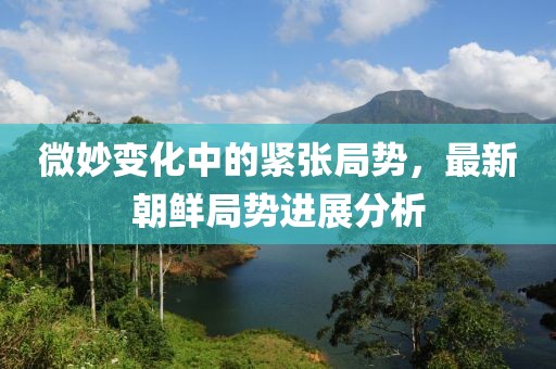 微妙变化中的紧张局势，最新朝鲜局势进展分析