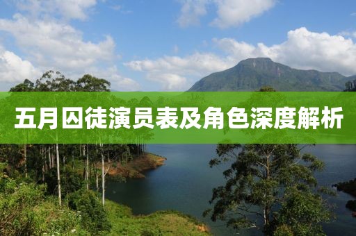 五月囚徒演员表及角色深度解析