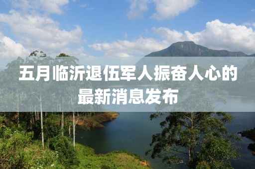 五月临沂退伍军人振奋人心的最新消息发布