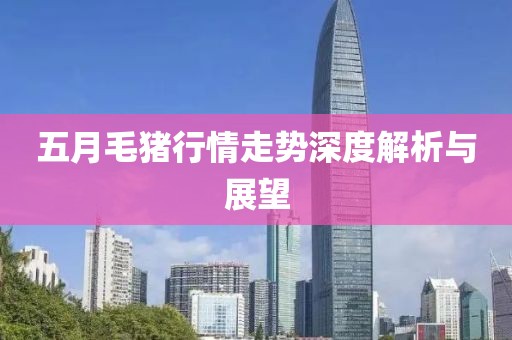五月毛猪行情走势深度解析与展望