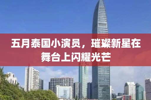 五月泰国小演员，璀璨新星在舞台上闪耀光芒