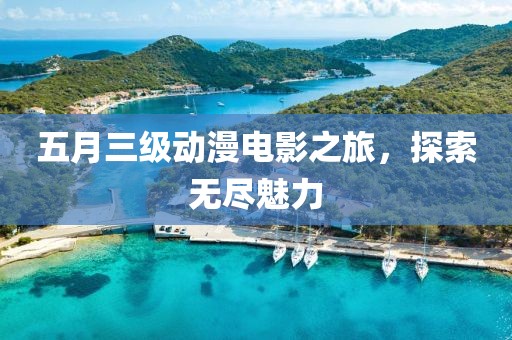 五月三级动漫电影之旅，探索无尽魅力