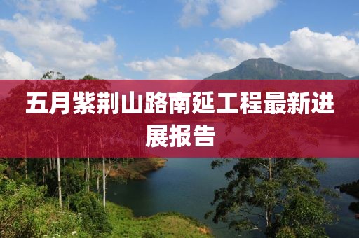 五月紫荆山路南延工程最新进展报告