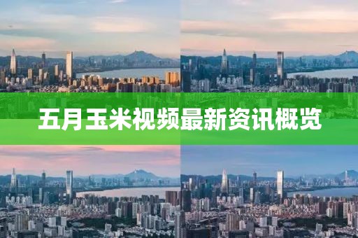 五月玉米视频最新资讯概览