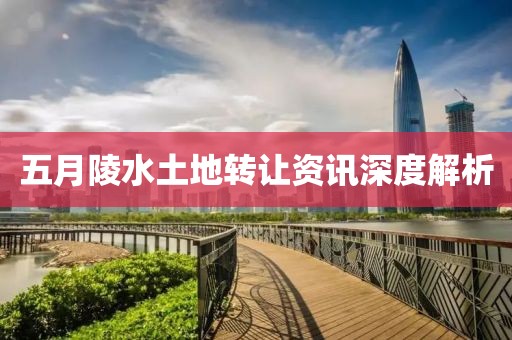 五月陵水土地转让资讯深度解析