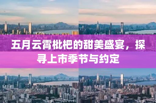 五月云霄枇杷的甜美盛宴，探寻上市季节与约定