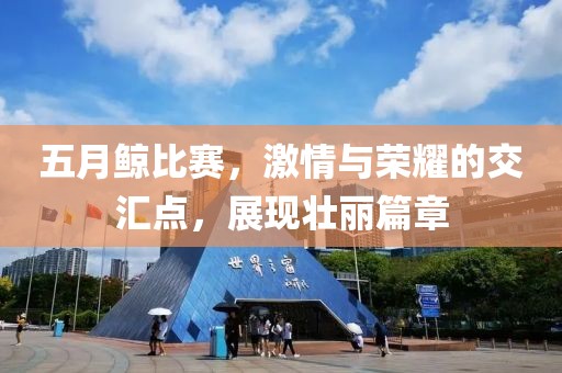 五月鲸比赛，激情与荣耀的交汇点，展现壮丽篇章