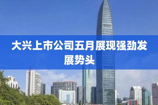 大兴上市公司五月展现强劲发展势头
