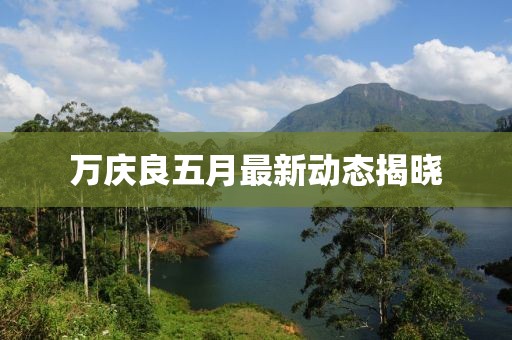 万庆良五月最新动态揭晓