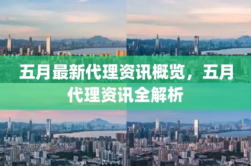 五月最新代理资讯概览，五月代理资讯全解析