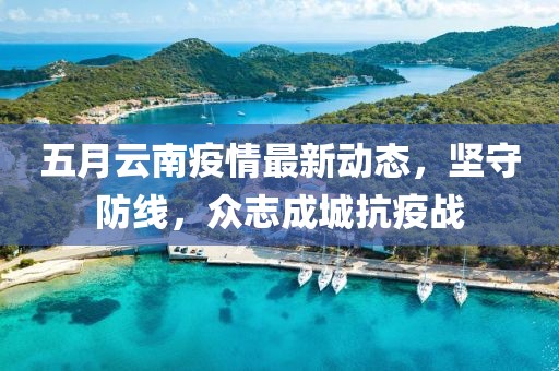 五月云南疫情最新动态，坚守防线，众志成城抗疫战