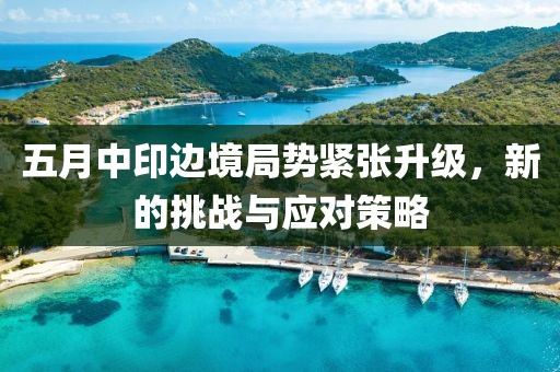 五月中印边境局势紧张升级，新的挑战与应对策略