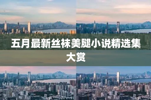 五月最新丝袜美腿小说精选集大赏