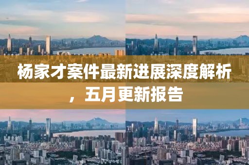 杨家才案件最新进展深度解析，五月更新报告