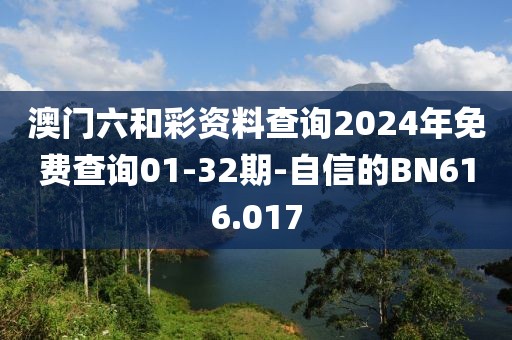 澳门六和彩资料查询2024年免费查询01-32期-自信的BN616.017