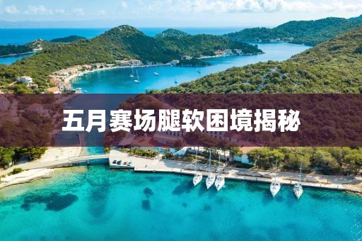 五月赛场腿软困境揭秘