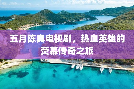 五月陈真电视剧，热血英雄的荧幕传奇之旅